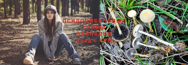 дживик Пролетарск