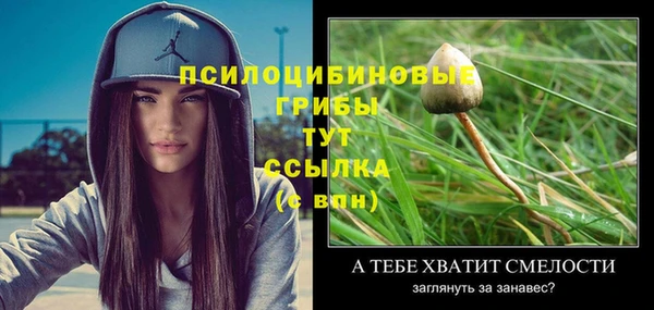 mix Зарайск