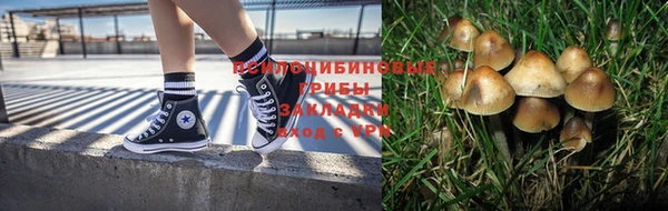 apvp Покров