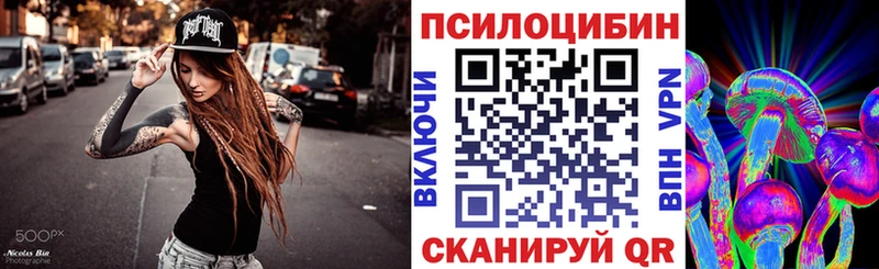 Псилоцибиновые грибы Psilocybe  где продают наркотики  Торжок 