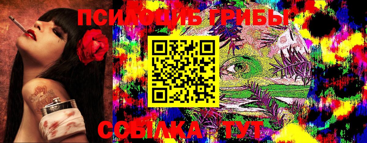Бошки Шишки Торжок