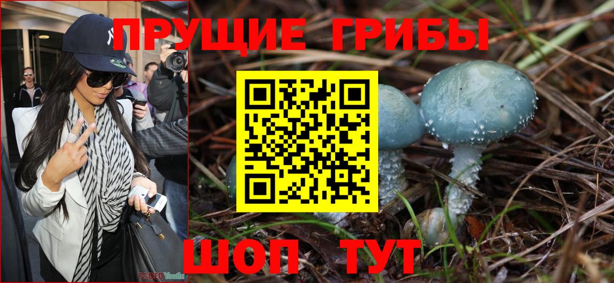 Псилоцибиновые грибы Psilocybe  Вход с VPN  Торжок  Псилоцибиновые грибы Cubensis 