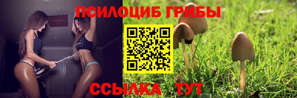Галлюциногенные грибы MAGIC MUSHROOMS  Торжок 